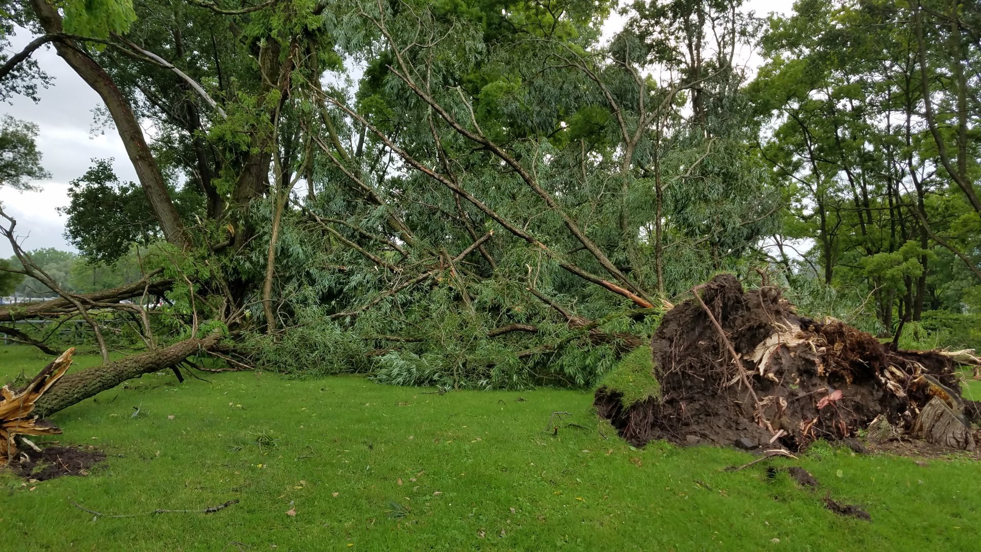 Emerson Park storm 5